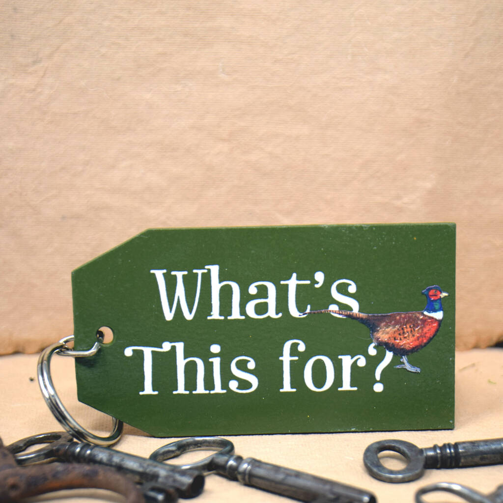 Image of Wild Birds What's This For