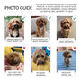 Personalised Pet 'Christmas Tree' Christmas Card, thumbnail 6 of 9