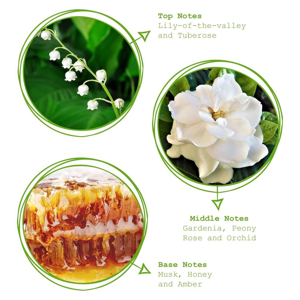Gardenia Scented Reed Diffuser 100ml By Rinkit