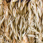 Natural Dried Oat And Wheat Wall Art Frame, thumbnail 5 of 6