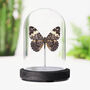 Red Cracker Insect Bug Moth Butterfly Taxiderma Bell Jar Christmas Gift Idea, thumbnail 1 of 4