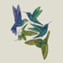 'Antique Hummingbirds I' Fine Art Print, thumbnail 2 of 5