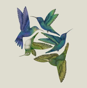 'Antique Hummingbirds I' Fine Art Print, 2 of 5