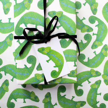 Chameleon Eco Recycled Wrapping Paper Pack, 3 of 4