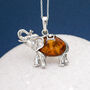 Personalised Sterling Silver Amber Elephant Pendant Necklace, thumbnail 1 of 7