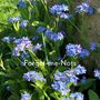Grandads Grow Your Own Flowers Gardening Gift, thumbnail 4 of 8
