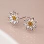 Sterling Silver And Yellow Gold Daisy Flower Stud Earrings, thumbnail 2 of 8