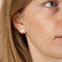 Chihuahua Sterling Silver Stud Earrings, thumbnail 2 of 7