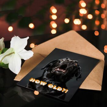 Joke Shocked Black Labrador Dog How Old Funny Birthday Card, 4 of 5