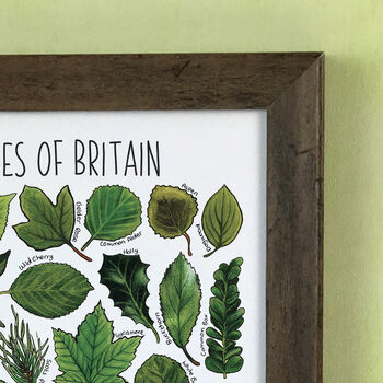 Tree Leaves Of Britain Wildlife Watercolour Print, 5 of 6