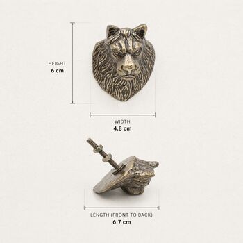 Regal Lion Head Brass Cabinet Knob, 6 of 8