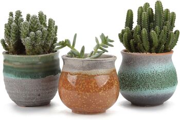 Set Of Three Ceramic Succulent Plant Pots, 3 of 8