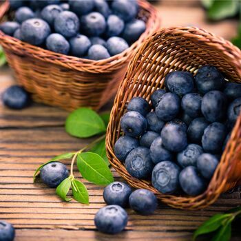 Fruit Plants Blueberry 'Chandler' Two Litre Pot, 3 of 5