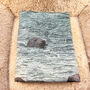 Nautical Super Soft Sherpa Printed Throws And Cushions, thumbnail 4 of 7