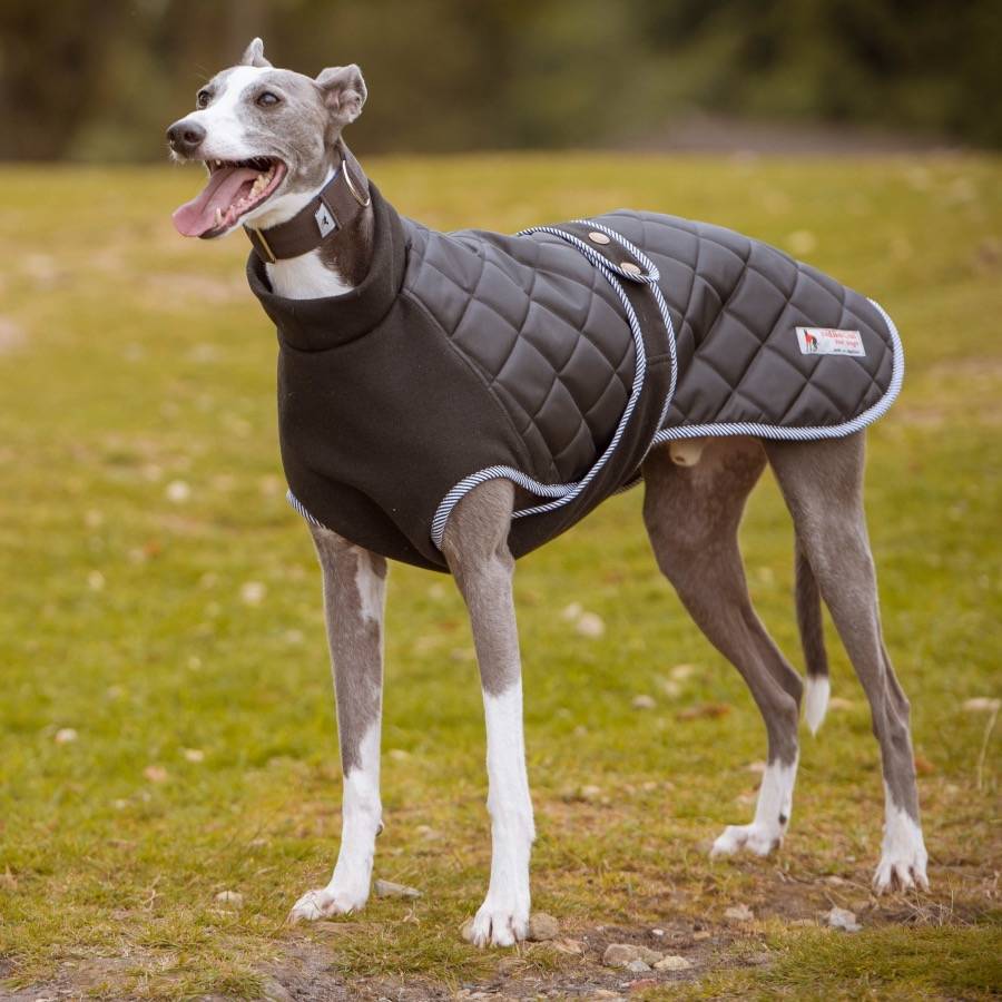 Dog Coat Fleece Lined By Redhound for Dogs