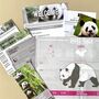 Adopt A Panda Gift Tin, thumbnail 2 of 4