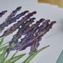 Lavender Watercolour A4 Art Print, thumbnail 5 of 6