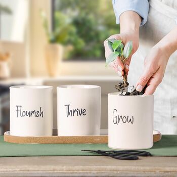 Ceramic Kitchen Herb Planters With Personalised Markers, 4 of 6