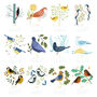 2025 Illustrated Birds Wall Calendar, thumbnail 4 of 5