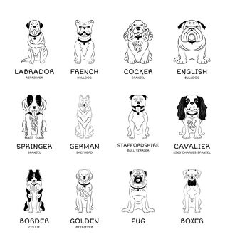 Personalised Dog Breed Diary Add Name And Message, 3 of 6