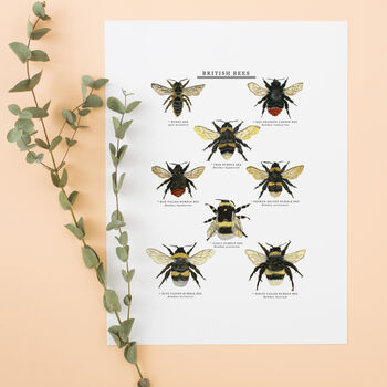 British Bees Illustrated Giclée Print, 2 of 6