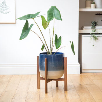 Large Plant Stands, 3 of 8