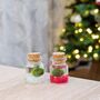 Set Of Two Glass Jar Marimo Moss Ball Terrariums Christmas Present, thumbnail 1 of 2