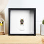 Tribal Man Faced Stink Bug Handcrafted Frames, thumbnail 1 of 3