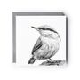 Nuthatch – Hand Drawn Woodland Bird Greeting Card Illustration, thumbnail 2 of 5