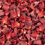 Romantic Red Rose Petals, thumbnail 2 of 8