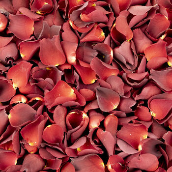 Romantic Red Rose Petals, 2 of 8