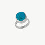 Signet Silver Turquoise Signet Ring, thumbnail 1 of 5