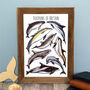 Dolphins Of Britain Wildlife Print, thumbnail 1 of 9