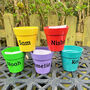 Personalised Children's Growing Kit Choice Of Six, thumbnail 2 of 2