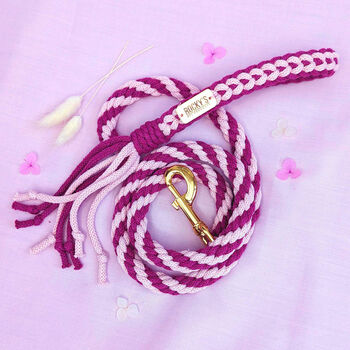 Make Your Own Pink Dog Lead Craft Kit, 6 of 8