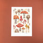 Toadstool A4 Recycled Art Print, thumbnail 5 of 5