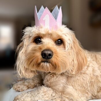 Pet Birthday Hat, 3 of 7