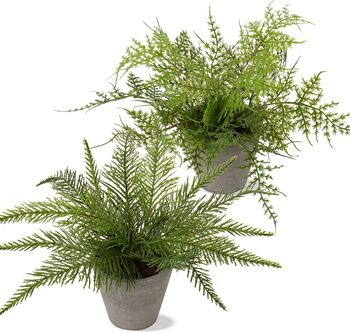 Pack Of Two Artificial Boston Fern Plant In Pots, 4 of 6