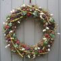 Putka Pod And Pussy Willow Wreath, thumbnail 4 of 4