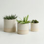 Set Of Two Or Three Handmade Ceramic Plant Pots, thumbnail 2 of 9