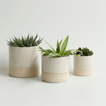 Handmade Ceramic Plant Pots Set Of Two Or Three, 2 of 9