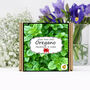 Herb Garden Oregano Growing Kit. Gardening Gift, thumbnail 1 of 4
