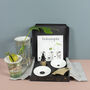 Deluxe Plant And Germination Gift Set, thumbnail 4 of 4