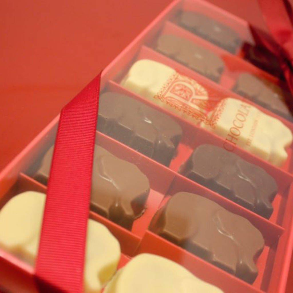Sea Salt Caramel Chocolate Elephants Box Of Twelve By R Chocolate London