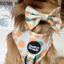 Dog Bow Tie | Oranges And Blossoms, thumbnail 5 of 5
