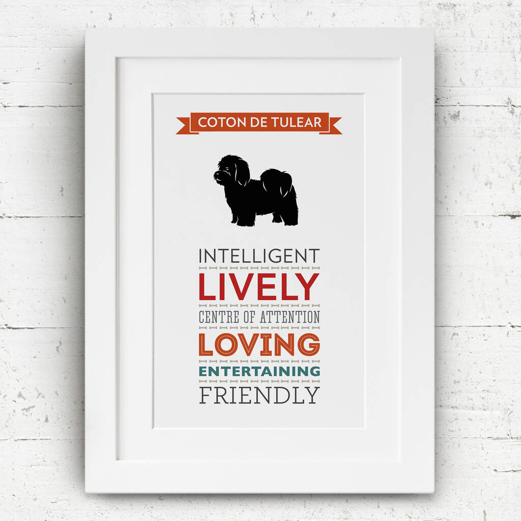 Coton De Tulear Dog Breed Traits Print By Jon Hall Design