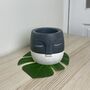 Grey And White Face Plant Pot, thumbnail 3 of 8