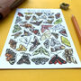 Moths Of Britain Watercolour Postcard, thumbnail 5 of 9