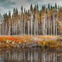Norwegian Wood To The Cabin Home Fine Art Print, thumbnail 2 of 2