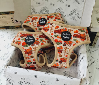 Pumpkin Patch Cart Dog Harness With Optional Set, 2 of 11